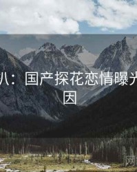 独家深扒：国产探花恋情曝光背后原因