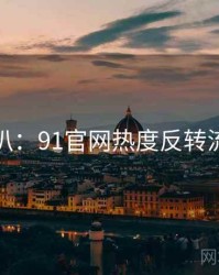 独家深扒：91官网热度反转流量密码