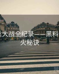 热辣粉丝大战全纪录——黑料网app爆火秘诀