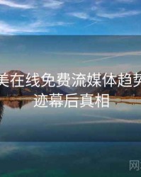 亚洲欧美在线免费流媒体趋势发展轨迹幕后真相