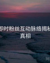 秀人网即时粉丝互动脉络揭秘，揭秘真相