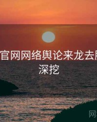 P站官方官网网络舆论来龙去脉，一起深挖
