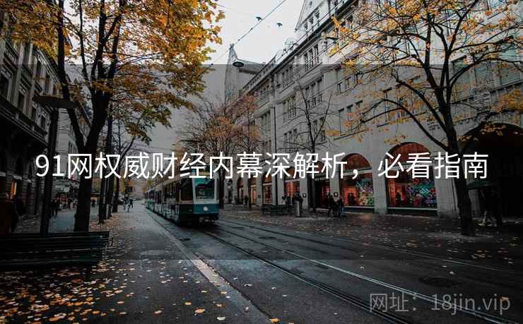 91网权威财经内幕深解析,必看指南 91网权威财经内幕深解析,必看指南